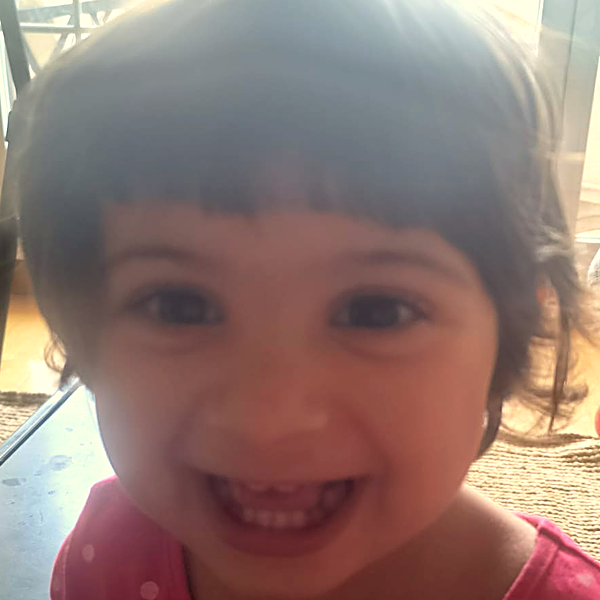 Delfi